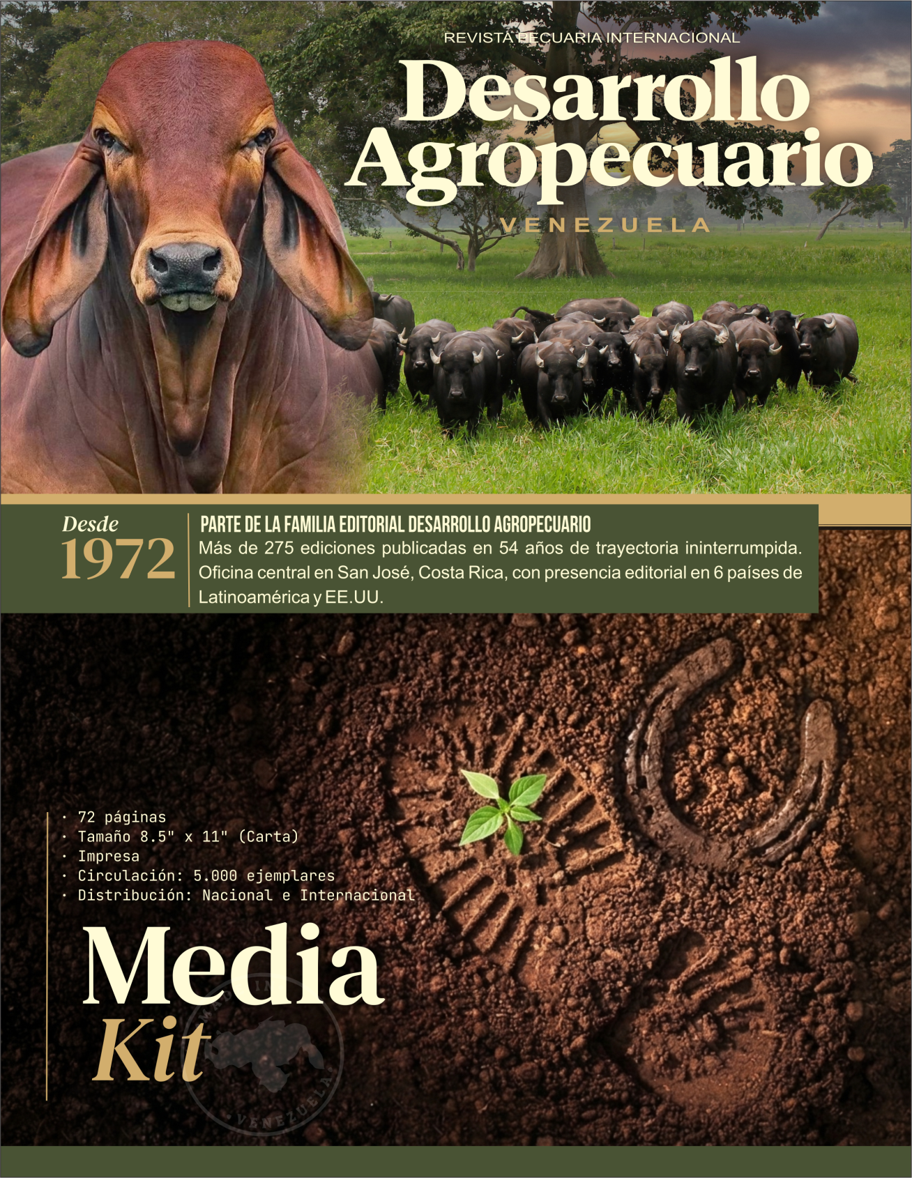 Media Kit